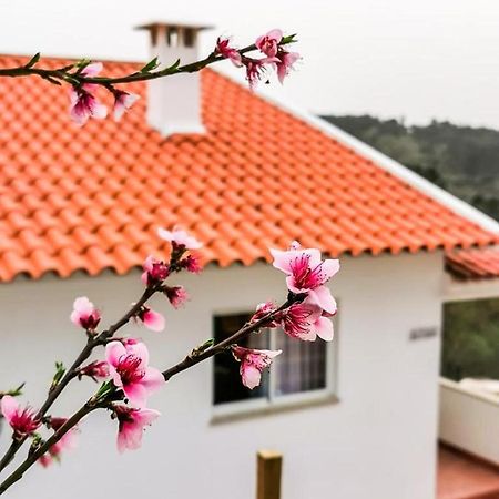 O Refugio Villa Coimbra Eksteriør bilde
