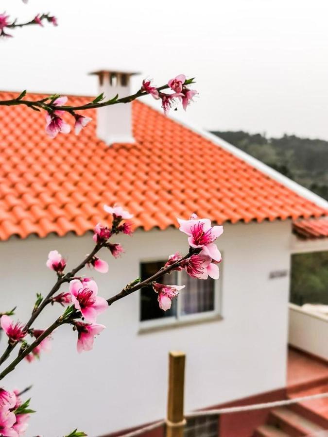O Refugio Villa Coimbra Eksteriør bilde