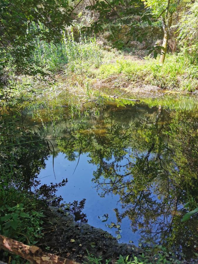 O Refugio Villa Coimbra Eksteriør bilde